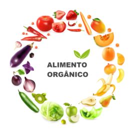 “ALIMENTO ORGÂNICO”: COMO VIVER 10 ANOS A MAIS