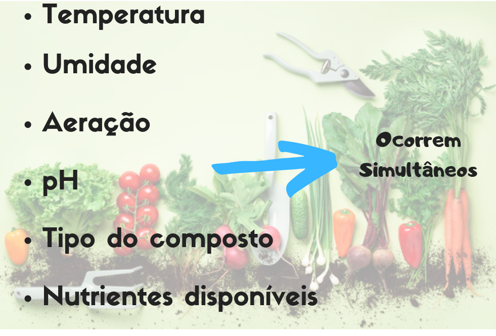 Temperatura - "COMPOSTAGEM ORGÂNICA": O GUIA + QUE COMPLETO