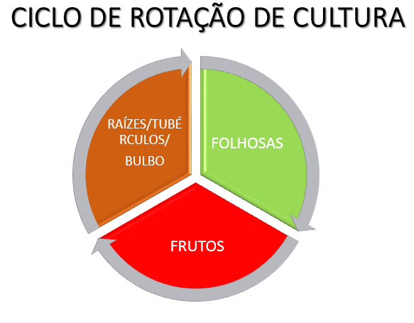 CICLO - "AGROECOLOGIA": APRENDA COM UM PROFISSIONAL