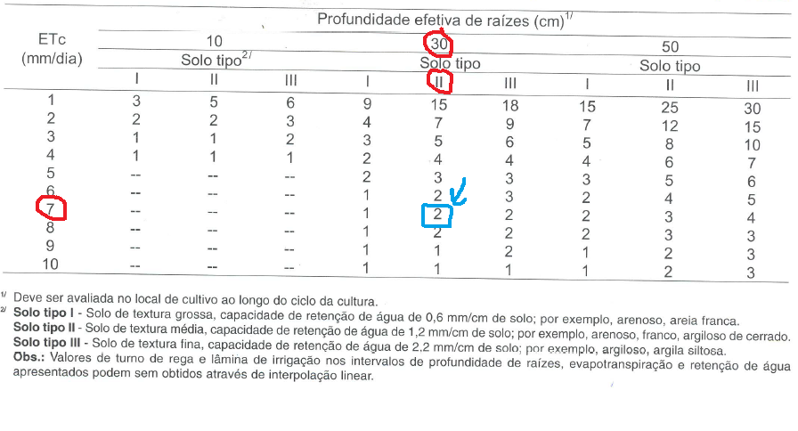 turno de rega 1 - BERINJELA: COMO PLANTAR DE FORMA ORGÂNICA