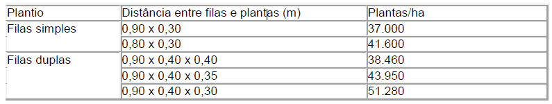 espaço - COMO PLANTAR ABACAXI ORGÂNICO - SEJA UM EXPERT