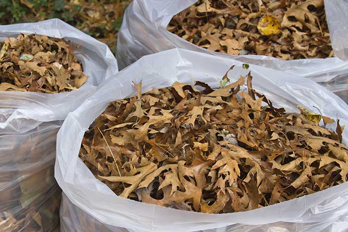 folhas compostagem - "COMPOSTAGEM ORGÂNICA": O GUIA + QUE COMPLETO