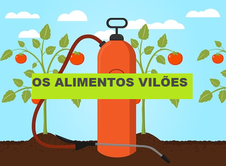 vilão alimento orgânico - "ALIMENTO ORGÂNICO": COMO VIVER 10 ANOS A MAIS