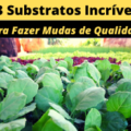 SUBSTRATOS PARA MUDAS