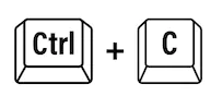 image - 03 SUBSTRATOS INCRÍVEIS: Aprenda Como Fazê-los e Garanta suas Mudas