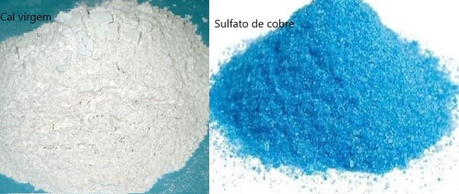 calda bordalesa sulfato de cobre e cal 1 - CALDA BORDALESA: FAZER É FÁCIL, VOCÊ SABE USAR???