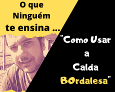 como fazer calda bordalesa (2)