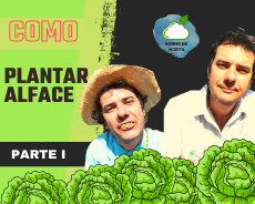 capa site 1 - COMO PLANTAR ALFACE - PARTE II