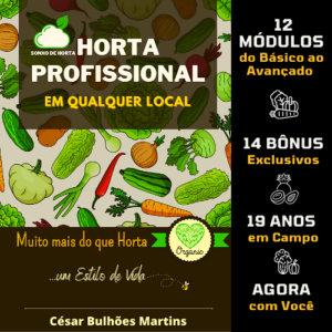 Horta Profissional Sonho de Horta 3 300x300 - COMO NUNCA ERRAR NA IRRIGAÇÃO DA HORTA