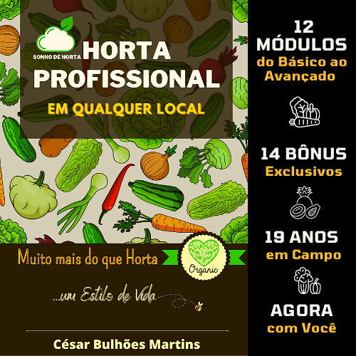 Horta Profissional Sonho de Horta 3 - "COMPOSTAGEM ORGÂNICA": O GUIA + QUE COMPLETO